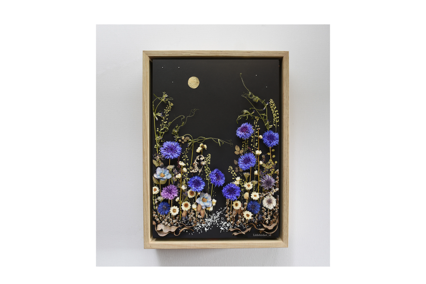 Nature Art print 'Cornflower patch at dawn'