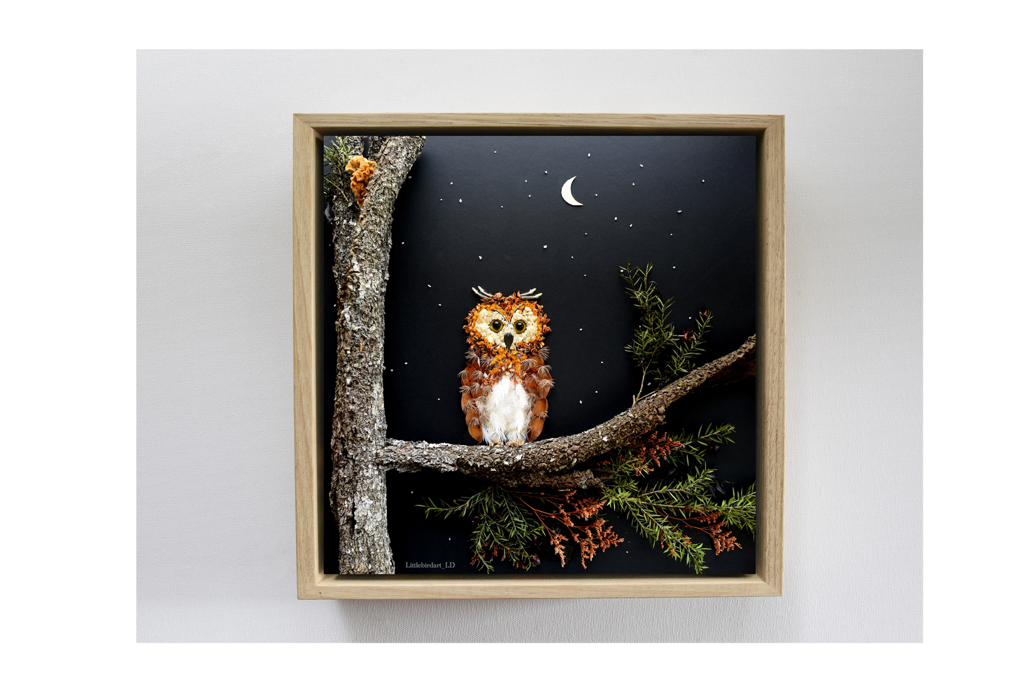 Nature Art print 'Queen of the night'