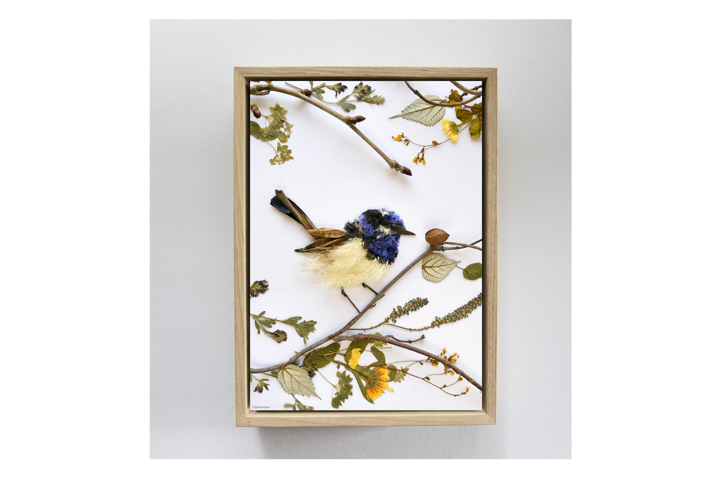 Nature Art print 'Superb Fairy Wren'