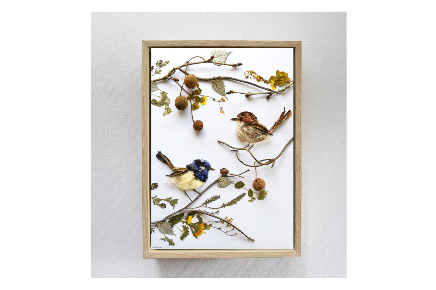 Nature Art print 'Superb Fairy Wren Pair'