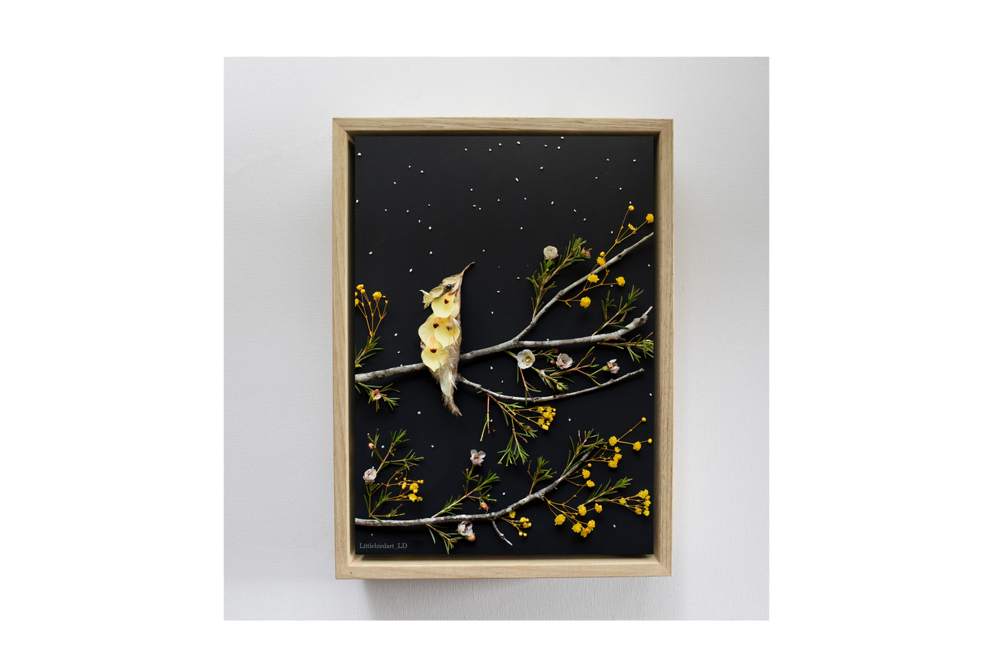 Nature Art print 'Wild Iris hummingbird'