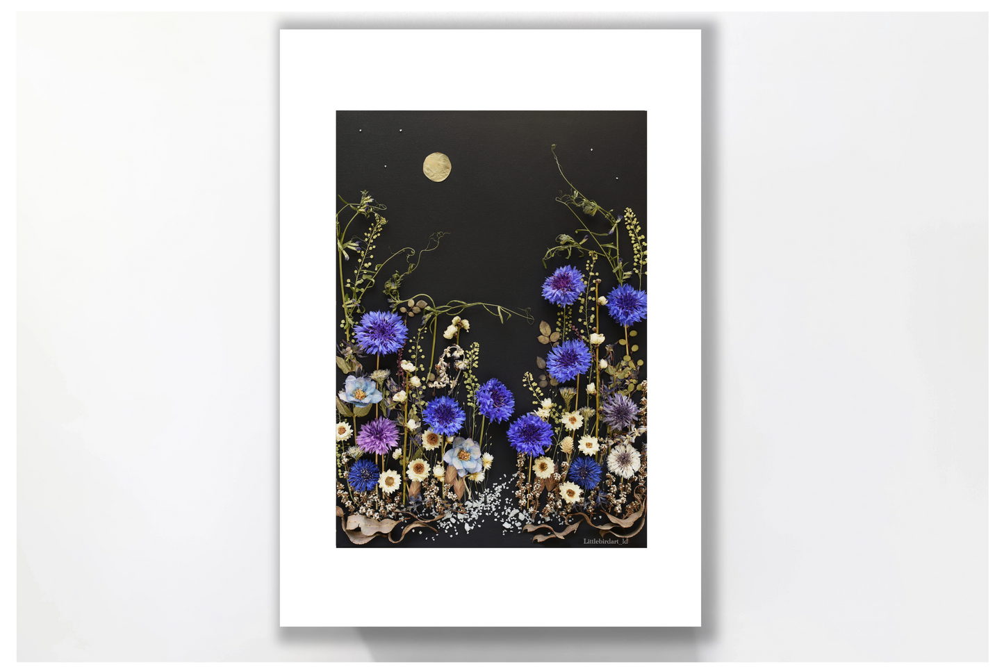Nature Art print 'Cornflower patch at dawn'
