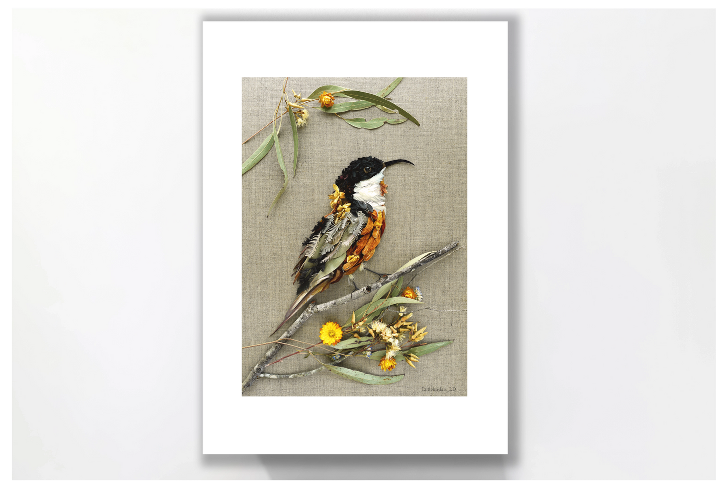 Nature Art Print 'Eastern Spinebill'