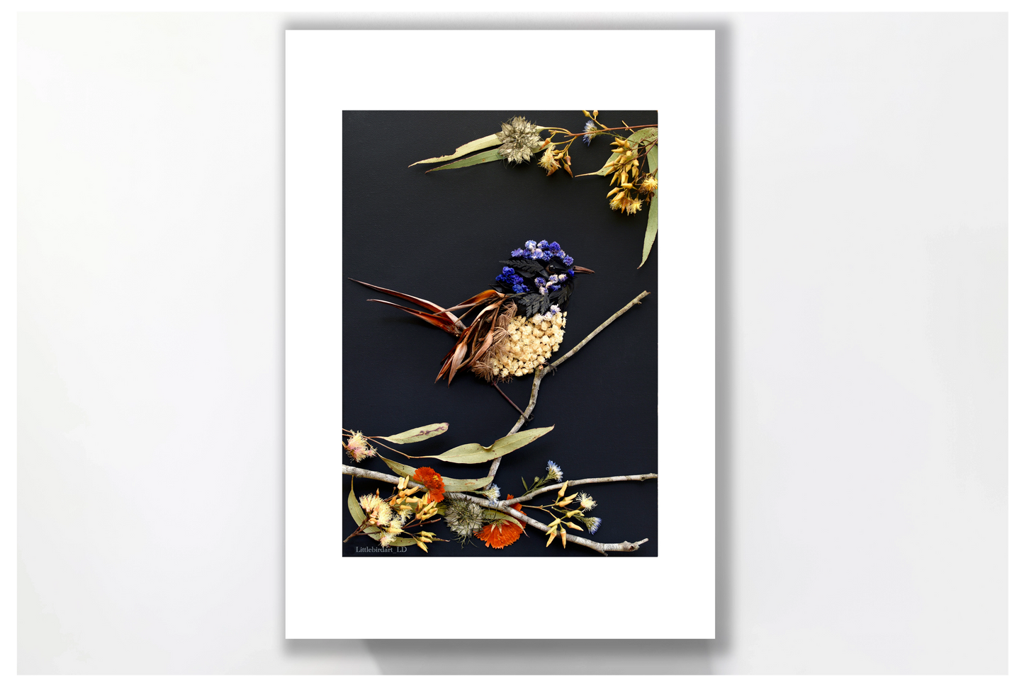 Nature art print 'Fairy Wren'