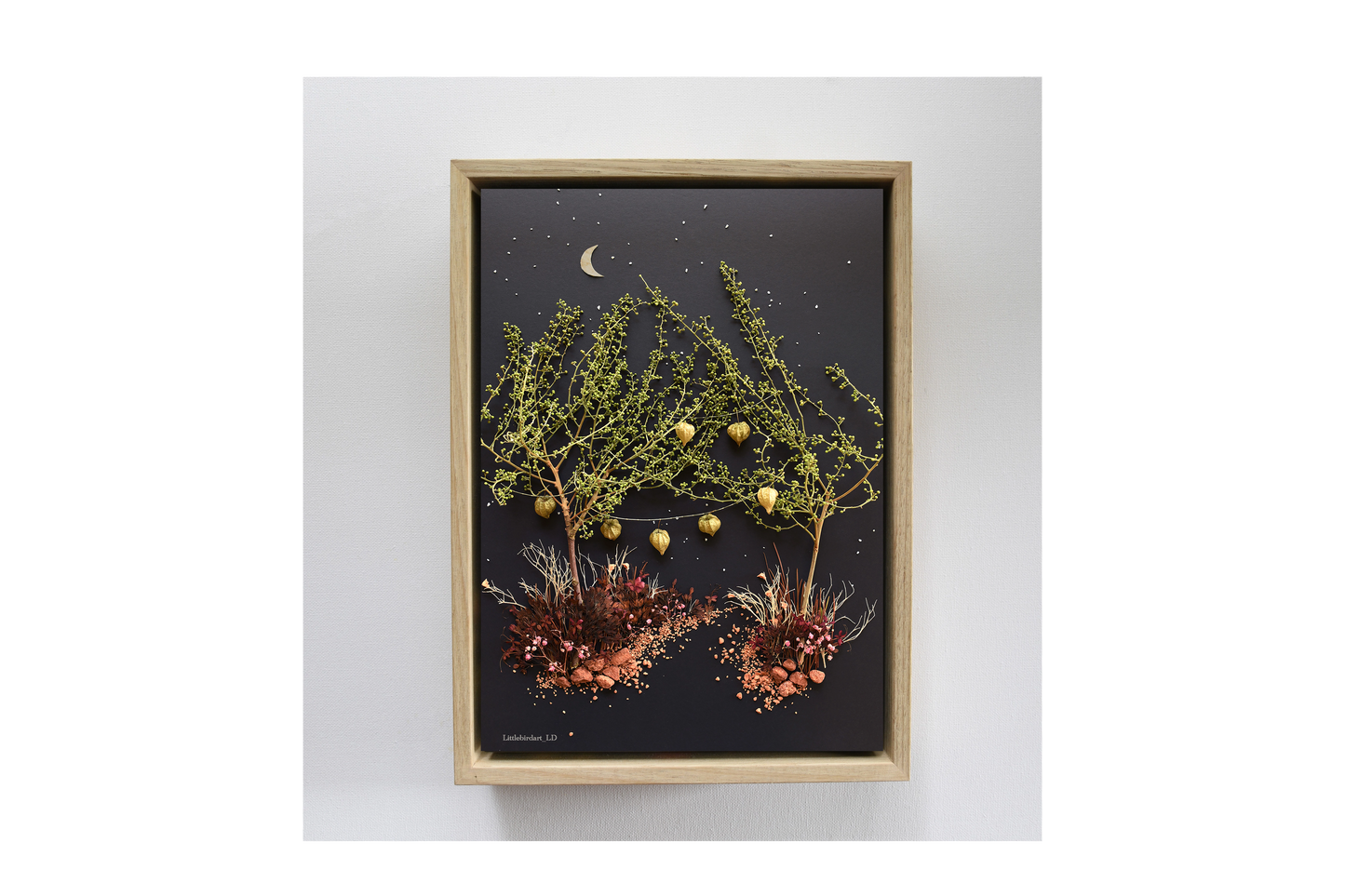 Nature Art print 'Night dreaming by Lantern lane'