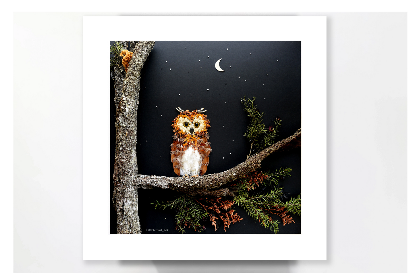 Nature Art print 'Queen of the night'