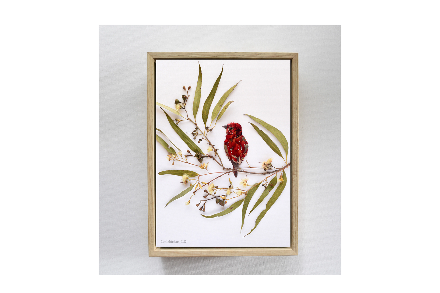 Nature Art print 'Strawberry Finch'