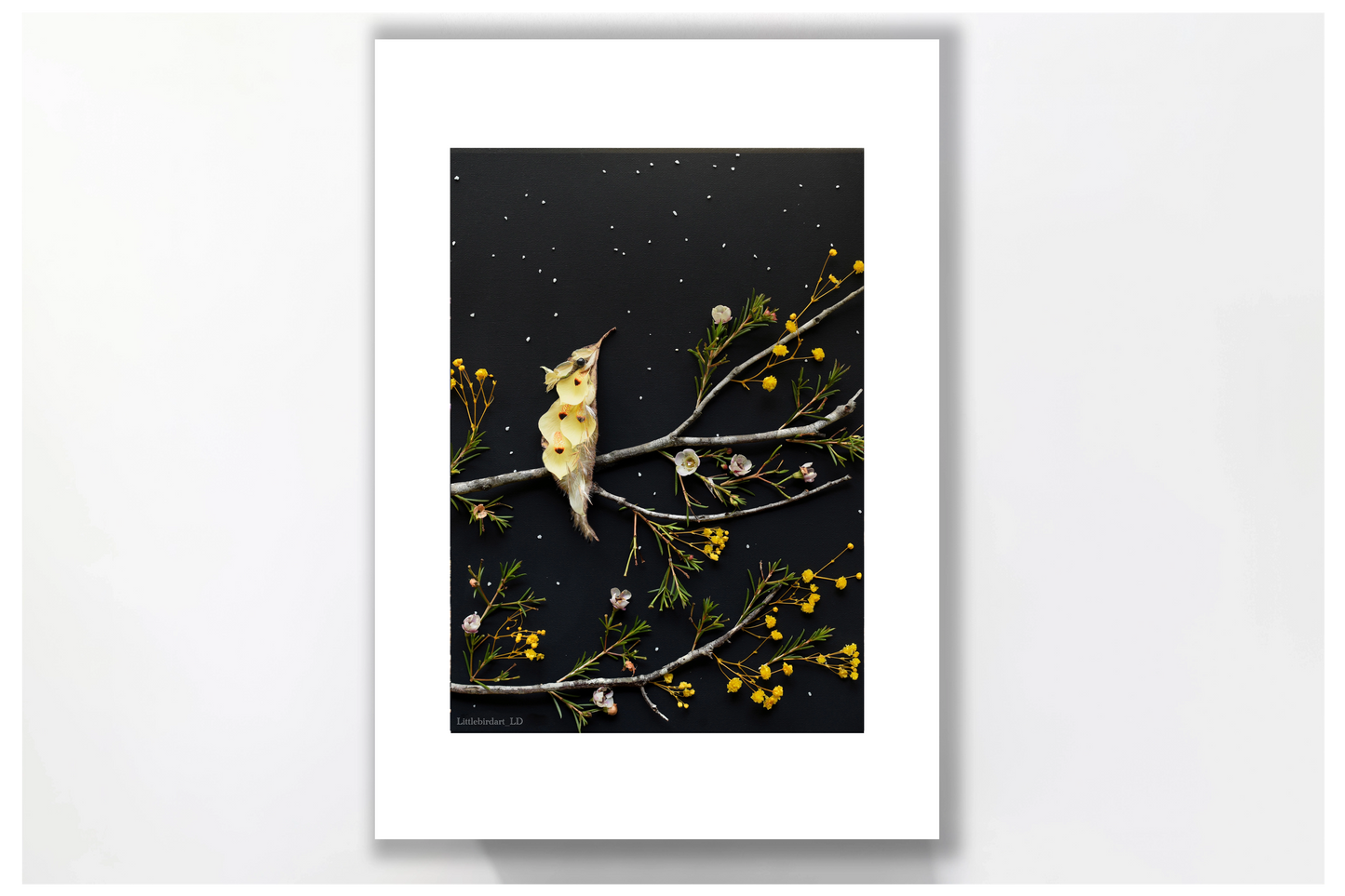 Nature Art print 'Wild Iris hummingbird'