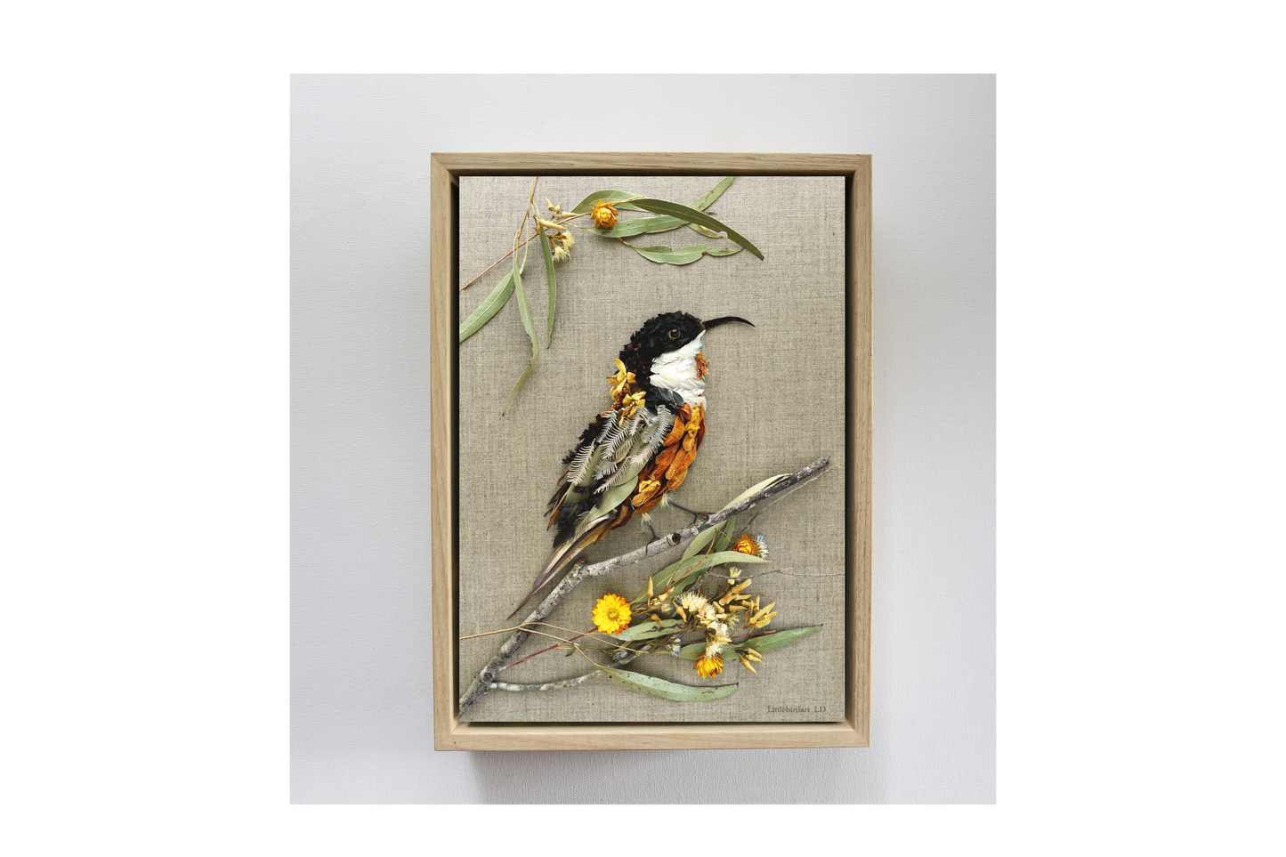 Nature Art Print 'Eastern Spinebill'