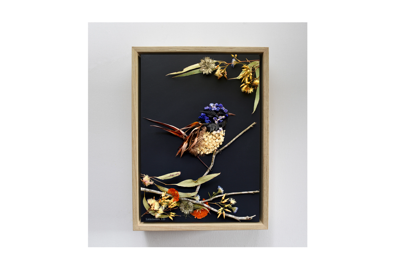 Nature art print 'Fairy Wren'
