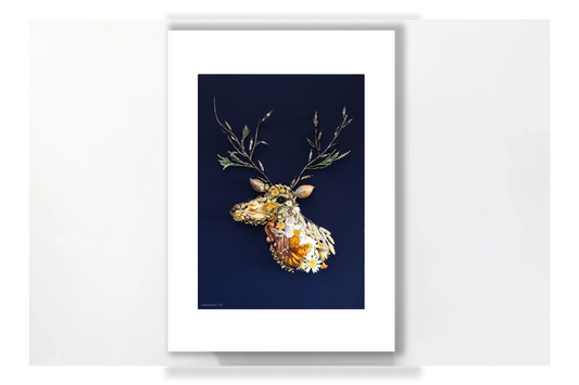 Nature Art Print 'Grace of the Woodland'