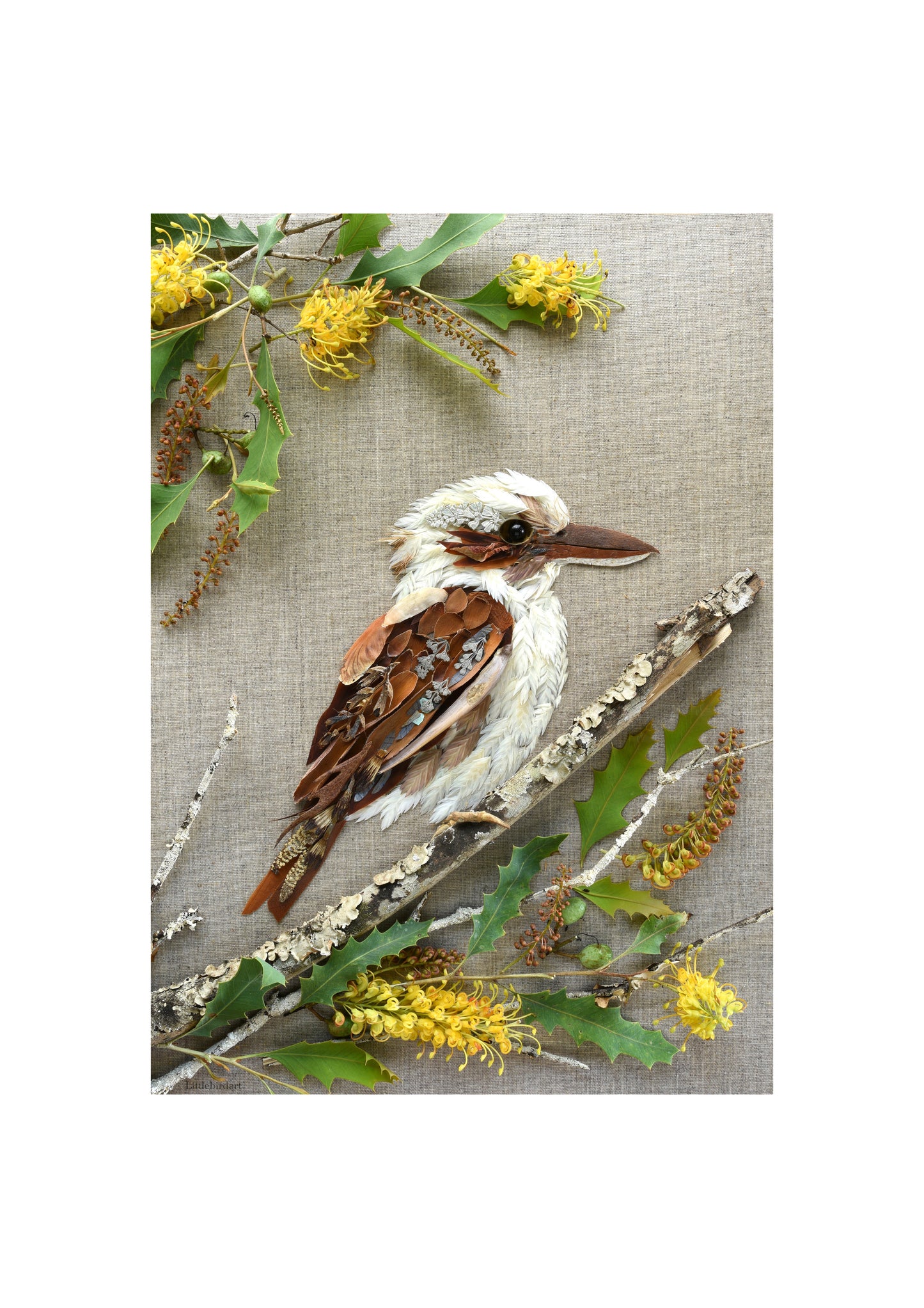 Nature Art Print 'Laughter from the Perch'