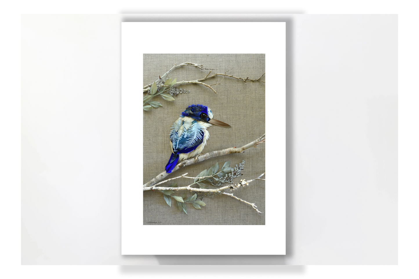 Nature Art Print "Little Kingfisher"