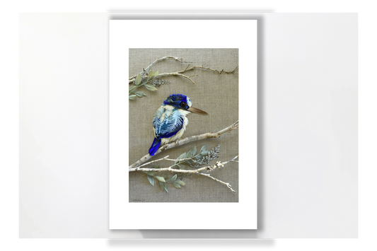 Nature Art Print "Little Kingfisher"