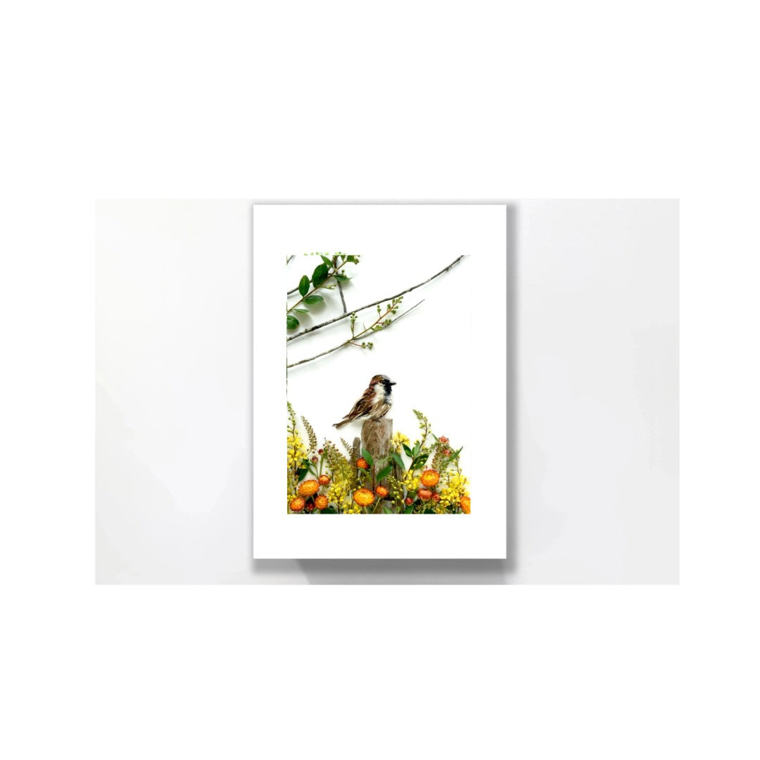 Nature Art print 'Sparrow in Spring'