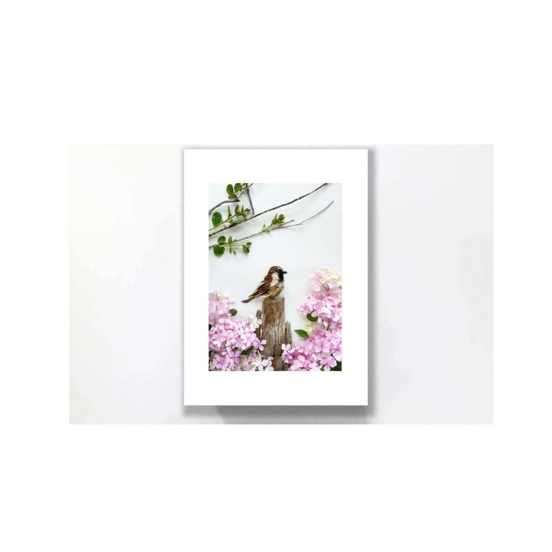 Nature Art print 'Sparrow Passing Through'