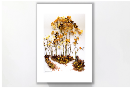 Nature Art Print 'Two Roads in a Yellow Wood'