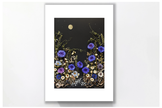 Nature Art print 'Cornflower patch at dawn'