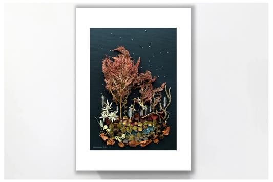 Nature Art print 'Night dreaming by the pond'