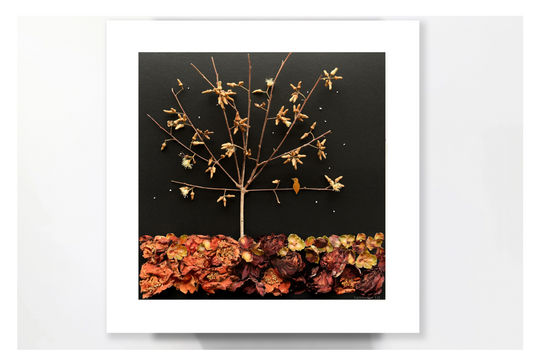 Nature Art print 'Past your bed time little bird'