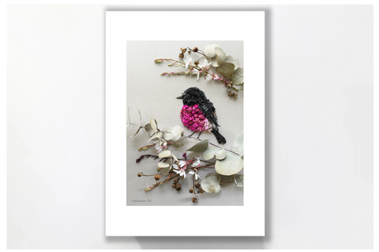 Nature Art print 'Pink Robin'