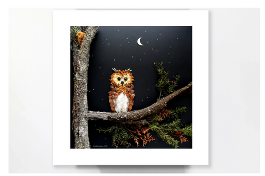 Nature Art print 'Queen of the night'