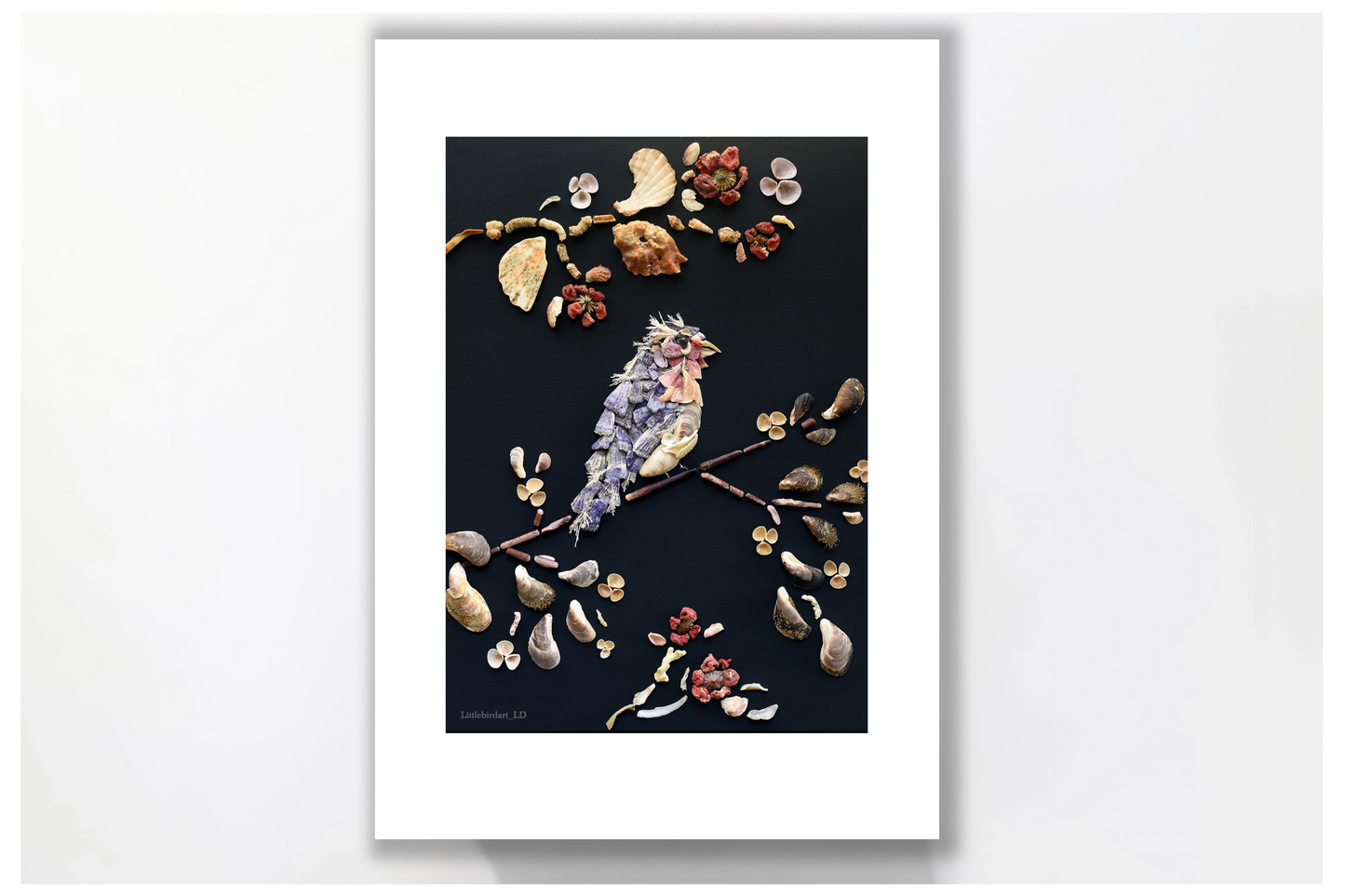 Nature Art Print 'Sea Bird'