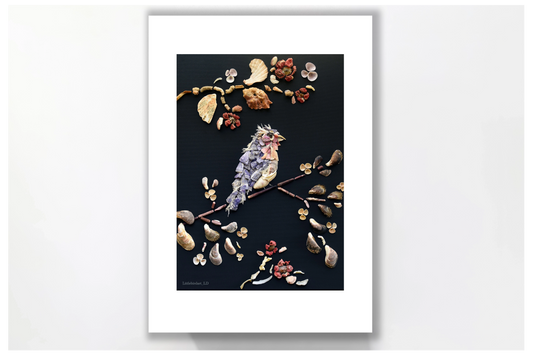 Nature Art Print 'Sea Bird'