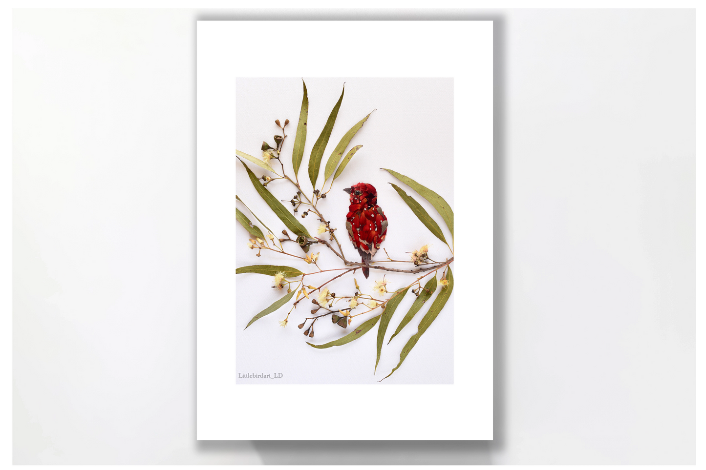 Nature Art print 'Strawberry Finch'