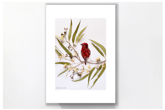 Nature Art print 'Strawberry Finch'