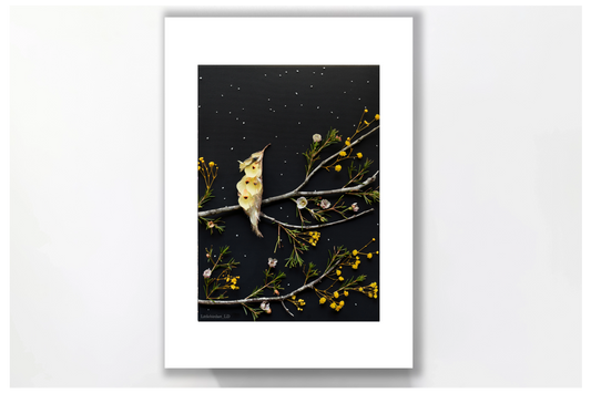 Nature Art print 'Wild Iris hummingbird'