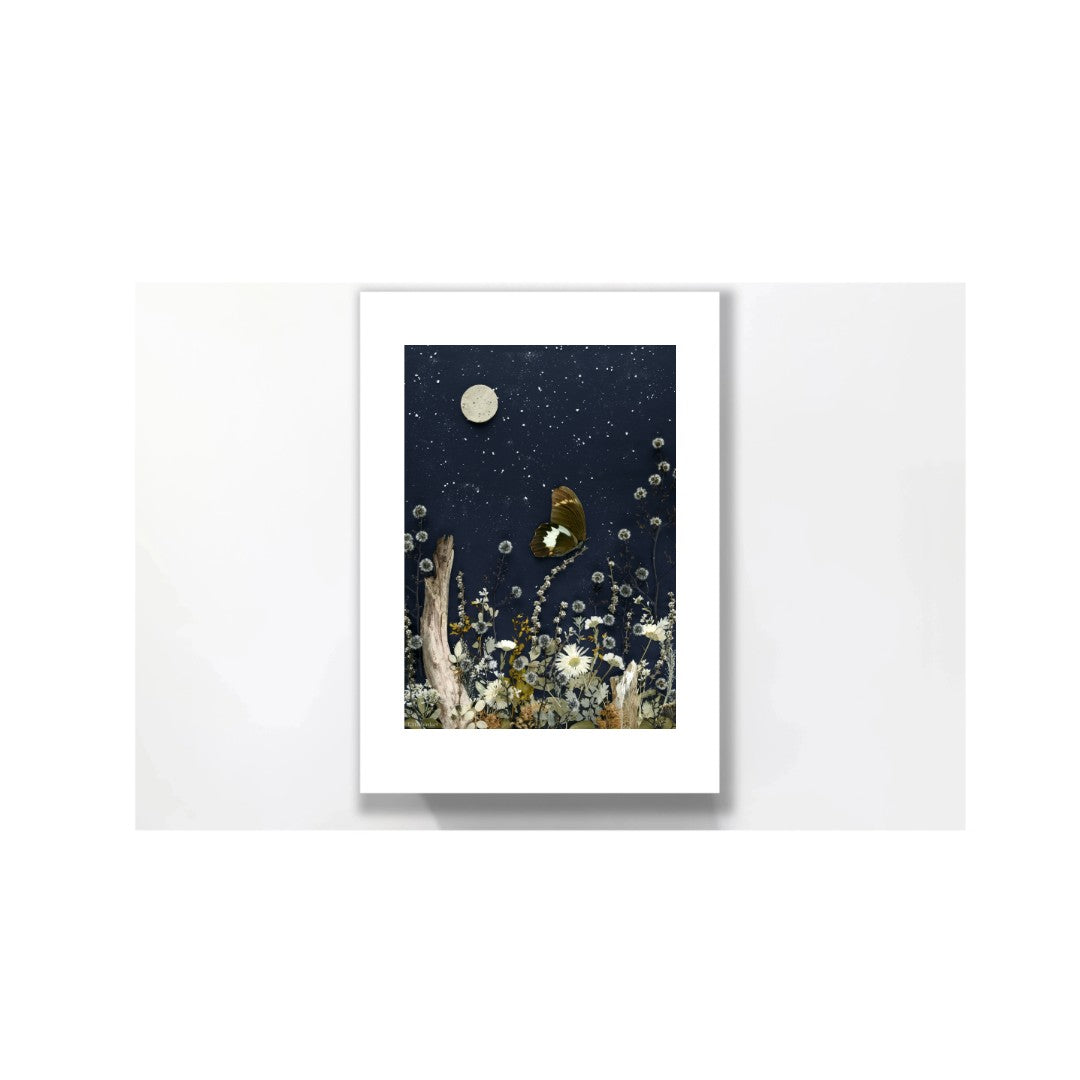 Nature Art print 'Wings in Moonlight'