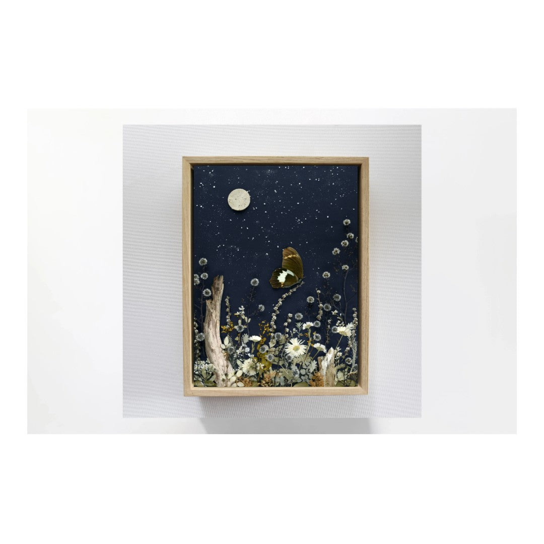 Nature Art print 'Wings in Moonlight'